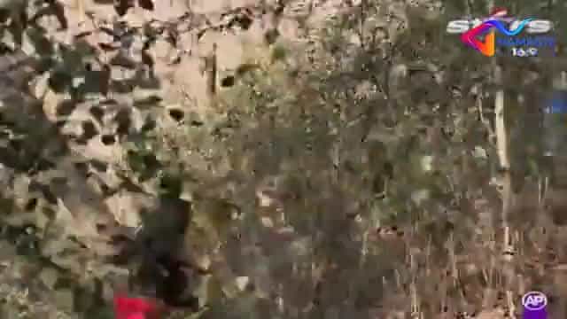În ritmul dragostei - Episode 241