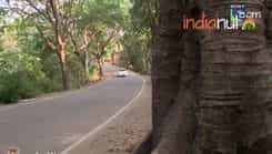 Humsafars - Episode 31