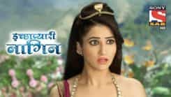Icchapyaari Naagin - Episode 169